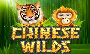 Imagem do jogo Chinese Wilds na Pagol Bet