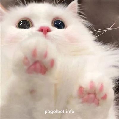 Avatar do jogador Amit